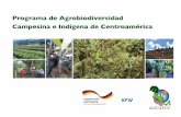 Programa de Agrobiodiversidad Campesina e Indígena de ... · Programa de Agrobiodiversidad ... El balance entre las necesidades del hombre y la capacidad de la naturaleza de ...