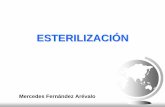 Mercedes Fernández Arévalo - personal.us.es · ESTERILIZACIÓN TERMINAL PROCESAMIENTO POSTERIOR Condiciones asépticas (personal, zona) (No suele aceptarse por las autoridades sanitarias)