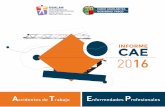 INFORME CAE 2016 - osalan.euskadi.eus · Accidentes de Trabajo en la Comunidad Autónoma de Euskadi. 2016 01. INFORME CAE 2016 METODOLOGÍA 1.1. Fuente de datos La fuente de …