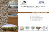 Agricultura Orgánicafaz.ujed.mx/Posgrado/maos/AUTOEVALUACION/CATEGORIAS/3... · 2011-03-21 · instituto tecnológico de torreón ... abonos organicos para producir forraje de maiz