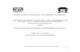 UNIVERSIDAD NACIONAL AUTÓNOMA DE MÉXICOenfermeria.iztacala.unam.mx/pdfs/DISENO_CURRICULAR_TOMO_1.pdf · 1 universidad nacional autÓnoma de mÉxico proyecto de modificaciÓn del