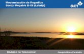 Modernización de Regadíos Sector Regable B-XII (Lebrija) se comunican con un canal primario que desagua en el río Guadalquivir. ... ambiente y que actúa con criterios propios de