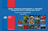 Chile: Potencia Alimentaria y Forestal - odepa.gob.cl · Chile: Potencia Alimentaria y ... Propuesta acerca de una metodología y cálculo del PIB agrícola ampliado en Chile en ...