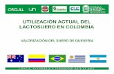 UTILIZACIÓN ACTUAL DEL LACTOSUERO EN COLOMBIA · productores de ácido orgánico de alto valor agregado, particularmente de ácido láctico y ácido cítrico . ... PRODUCCIÓN DE