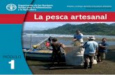 la pesca artesanal - fao.org · La pesca artesanal y la recolección de moluscos son actividades comunitarias Generemos cadenas de valor y no cadenas productivas …