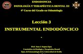 Lección 3 INSTRUMENTAL ENDODÓNCICO - … PTD-III... · Prof. Juan J. Segura Egea Catedrático de Patología y Terapéutica Dental Dpto. de Estomatología de la Universidad de Sevilla