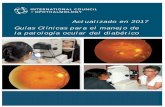 Actualizado en 2017 Guías Clínicas para el manejo de la ...as Clínicas del ICO para el manejo de la patología ocular del diabético.