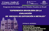 Programa de Investigación en Metales Pesados en Brasil PROPUESTAS Uso de retorta y capillas en ... pocas personas directamente involucradas en la extracción de oro, ... contenido