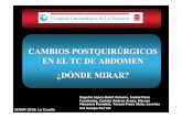 CAMBIOS POSTQUIRÚRGICOS E EL TC DE ABDOME …seram2010.seram.es/.../cambios_postquirrgicos_en_el_tac_de_abdom… · INTRODUCCIÓN Procedimiento frecuente Alteración de la anatomía