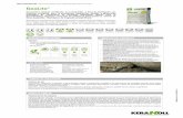 Geomorteros Minerales para la Reparación Monolítica del ...products.kerakoll.com/gestione/immagini/prodotti/GeoLite_(ES).pdf · Destinos de uso Pasivación, reparación localizada
