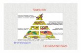 Nutrición - INGENIERIA AGROINDUSTRIAL | Agroindustria ... · La fibra de la cubierta de las legumbres es la causante del meteorismo ... mono o pluricarpelares: naranjas o el ...