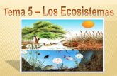 Punto 1 - "Actividades Ciencias de la Naturaleza" | "Yo no ... · Punto 1: Biosfera, Ecosistema y Ecosfera. Biosfera: Ecosistema: Ecosfera: Es el conjunto de todos los seres vivos
