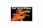 Técnicas de Respiración - ibfnetwork.com · Revista Breathe Original—publicada desde 1984 Revista Breathe de Trabajo de Respiración y Renacimiento diciembre ‘06, enero ...
