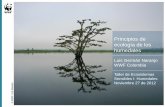 Presentación de PowerPoint · Taller de Ecosistemas Sensibles I: ... Palustre Permanente Emergente Pantanos y ciénagas dulces permanentes ... inventario preliminar