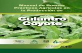 Culantro Coyote - Ministerio de Agricultura y Ganadería · La Comisión de Culantro Coyote ha realizado un importante aporte con la elaboración de este manual, en un proceso participativo