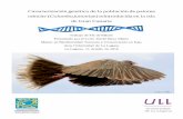 Caracterización genética de la población de paloma rabiche ... DE... · Resumen: La paloma rabiche (Columba junoniae) es una de las seis especies de aves endémicas del archipiélago