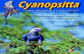 Cyanopsitta - loroparque-fundacion.org · Un paso más en el perfeccionamiento ... Papagayos se ha convertido en una cita obligada a la que ... o de los hallazgos macroscópicos en