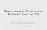 Diagnóstico de las Enfermedades Gastrointestinales por PCR · • Los patógenos comúnmente reportados son salmonella y shigella. • No se acostumbra realizar cultivos especiales