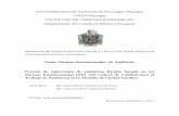 Universidad Nacional Autónoma de Nicaraguarepositorio.unan.edu.ni/7853/1/18444.pdf · Presentar mediante un caso Practico la aplicación de una auditoría Fiscal y ... NIA 220: norma
