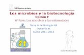 Opción F 6ª Parte: Los microbios y las enfermedades · Opción Microbiología 30/66 Estos antibióticos tienen unefecto ... unen a la subunidad 50S delribosomaimpidiendoel inicio