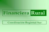 Financiera Rural - concitver.comconcitver.com/simposium/SESION4/Financiera Rural Proyectos.pdf · Ciclo de Vida de los Proyectos Final. ... Este grado de incertezaes sólo parcial