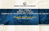 BCV - CEMLA Sistemas de Pago sistemas de … · Caracas 24 de septiembre de 2013 . 2 Programa • Introducción • Tipos de FMI • Gerenciamiento de riesgos • Estructura del mercado