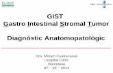 GIST Gastro Intestinal Stromal Tumor Diagnòstic ... · Gastro Intestinal Stromal Tumor Diagnòstic Anatomopatològic Dra. Míriam Cuatrecasas Hospital Clínic Barcelona 07 – 05