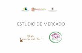 ESTUDIO DE MERCADO - agroactivalosrios.clagroactivalosrios.cl/download/Juana_ESTUDIO-DE... · •Queque inglés Galletas Tradicionales 100, 150 y 300 gramos Sin azúcar •Endulzada