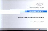 Municipalidad de Pelluhue · pertinentes, copia del Informe Final N° 15, de 2012, aprobado por el infrascrito, que contiene los resultados de la auditoría a los macroprocesos de