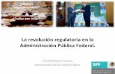 La revolución regulatoria en la Administración Pública ...agn.gob.mx/menuprincipal/archivistica/reuniones/2012/ragobfed/pdf/... · Síntomas y Condiciones del Gobierno • Esfuerzos