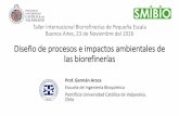 Diseño de procesos e impactos ambientales de las … · Taller Internacional Biorrefinerías de Pequeña Escala Buenos Aires, 23 de Noviembre del 2016 Diseño de procesos e impactos