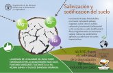 Salinización y sodificación del suelo - fao.org · AL ORME PRINCIP O - INF CURSO SUEL ADO MUNDIAL DEL RE FUENTE: EST Salinización y sodiﬁcación del suelo Incremento de sales