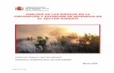 ANÁLISIS DE LOS RIESGOS EN LA PREVENCIÓN Y … · Para ello, se presenta a continuación un extracto del informe “Los Incendios Forestales en España. ... forestales y de los