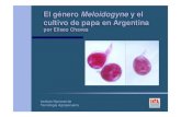 El género Meloidogyne y el cultivo de papa en Argentina · Especies de nematodes encontrados parasitando papa semilla en la Argentina y su importancia ... Estrategias de manejo en