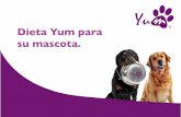 Dieta Yum para - yummardequel.com¡logo YUM.pdf · Alimento natural para tu perro Yum, ha desarrollado un alimento completo y equilibrado para su mascota, además la Dieta Yum es