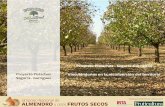 Proyecto Pistachos - Segarra Garrigues Vinculándonos …jornadasfruticultura.com/images/Joan-Fortuny-web.pdf · Origen en Tarrega (Lleida) ... BORGES aportó de forma gratuita al