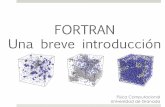 FORTRAN Una breve introducción - ergodic.ugr.esergodic.ugr.es/cphys/LECCIONES/Fortran/fortran-NEW.pdf · Estructura típica de una simulación 7 program abc c Definición de variables