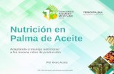 Nutrición en Palma de Aceite - …congresopalmeromexicano.com/femex_congreso/static/images/memori… · Nutrición en Palma de Aceite Adaptando el manejo nutricional a los nuevos