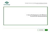 Guia de evaluación clínica de refractometría - gob.mx€¦ · CLIR-02 /52 Guía Pedagógica y de Evaluación del Módulo: Clínica de refractometría 1. Descripción La Guía Pedagógica