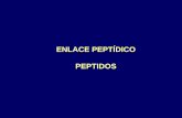 ENLACE PEPTÍDICO PEPTIDOSdepa.fquim.unam.mx/amyd/archivero/AMINO-ACIDOS-Y... · Es de uso común en síntesis de peptidos y se forma con facilidad ciuando se hace reaccionar una