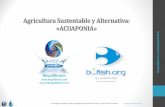 Agricultura Sustentable y Alternativa: «ACUAPONIA»vidaequilibrium.com/descargas/agriculturasustentable.pdf · ¿Qué es la Acuaponía? Copyright 2007 Requilibrium m donde «Producción