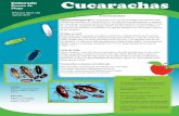 Colorado Cucarachas - webdoc.agsci.colostate.edu - /webdoc.agsci.colostate.edu/ipm/cucarachas9.2.14.pdf · La duración del ciclo de vida varía con la especies de cucaracha, temperatura,