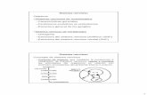 001 Sistema Nervioso-I: Generalidades. Invertebradosorganografia.unileon.es/html/PDF/Sistema Nervioso_I_Invertebrados.pdf · 1 Sistema nervioso Objetivos •Sistemas nerviosos de