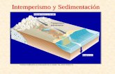 Intemperismo y Sedimentación - …usuarios.geofisica.unam.mx/gvazquez/yacimientosELIA/zonadesplegar... · El suelo es una combinación de minerales, materia orgánica, agua y aire.