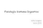 Fisiología Sistema Digestivo - ecaths1.s3.amazonaws.com · Silverthorn, D. U.: Fisiología Humana. Un Enfoque Integrado; 4ª Edición. Editorial Médica Panamericana. Buenos Aires.