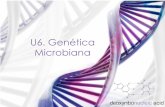 U6. Genética Microbiana - [DePa] Departamento de ...depa.fquim.unam.mx/amyd/archivero/U6_GeneticaMicrobiana_19166.pdf · Tamaño de los genomas Se puede expresar como el número
