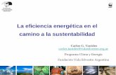 La eficiencia energética en el camino a la sustentabilidad · América del Norte América del Sur y Central Europa & Eurasia ... China 16,8% Estados Unidos ... - Ausencia de normas