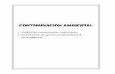 CONTAMINACIÓN AMBIENTAL - ingenieroambiental.com AMBIENTAL.pdf · sólo proporcionan información puntual de la situación en un momento y lugar ... (la jornada de trabajo en un