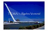 TEMA 1: Álgebra Vectorial - faeuat0.us.esfaeuat0.us.es/ff/Carpetas/Extra/TEMA 1(MG).pdf · TEMA 1: Álgebra Vectorial Departamento de Física Aplicada 07/10/2008 II. Miguel Galindo