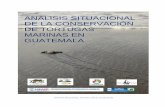ANALISIS SITUACIONAL DE LA CONSERVACIÓN …arcasguatemala.org/wp-content/uploads/Analisis-Situacional10-2016... · LA CONSERVACIÓN DE TORTUGAS MARINAS EN GUATEMALA 1 ANALISIS SITUACIONAL